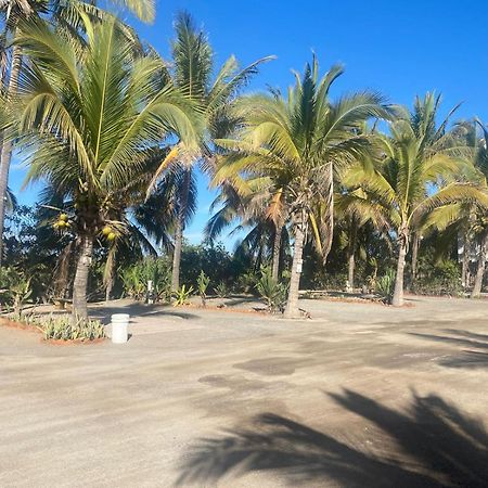 Bungalows Laguna Del Tule San Patricio Melaque Exteriér fotografie